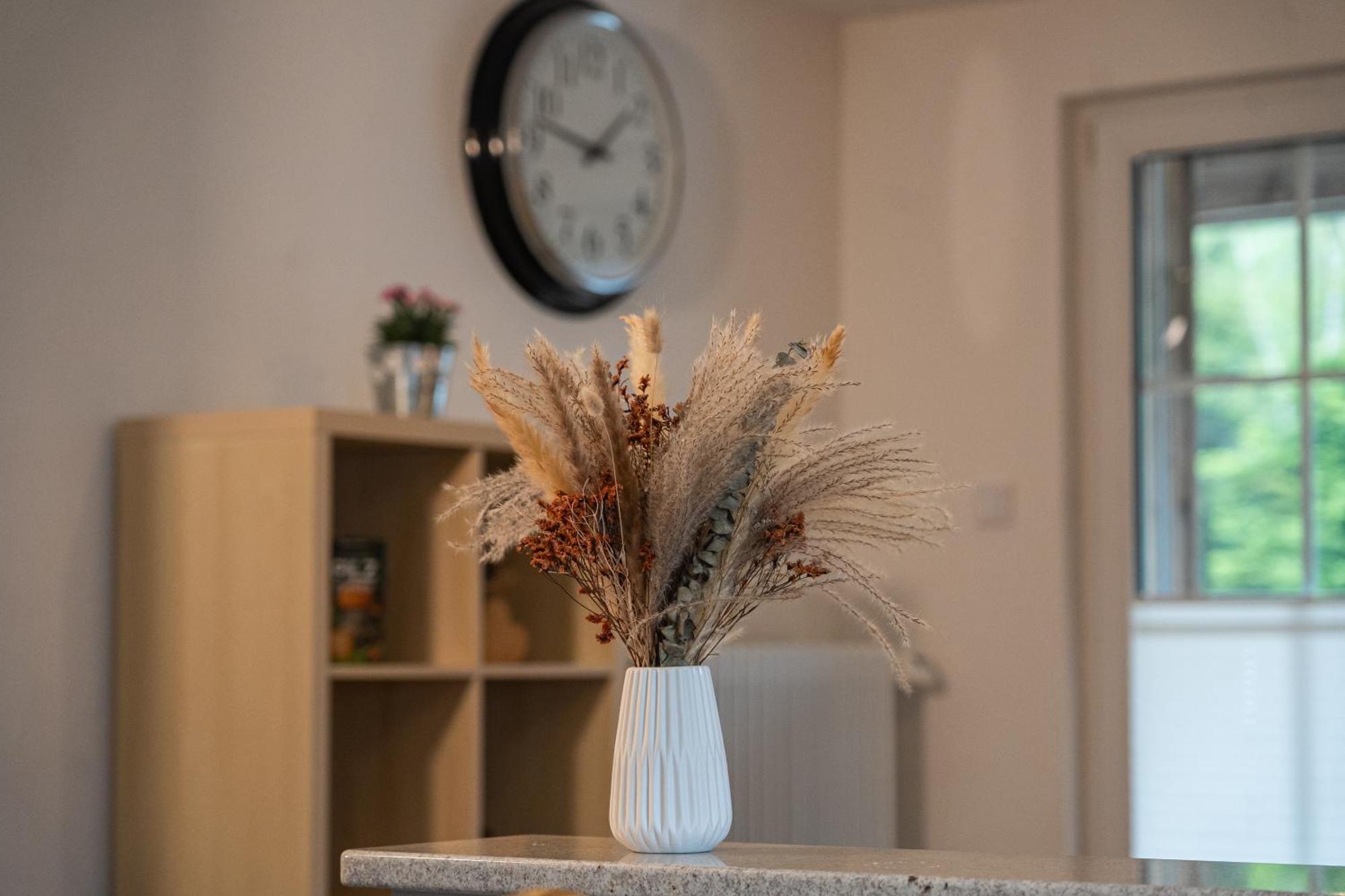 View House, Schauinsland, Black Forest ミュンスタータール エクステリア 写真