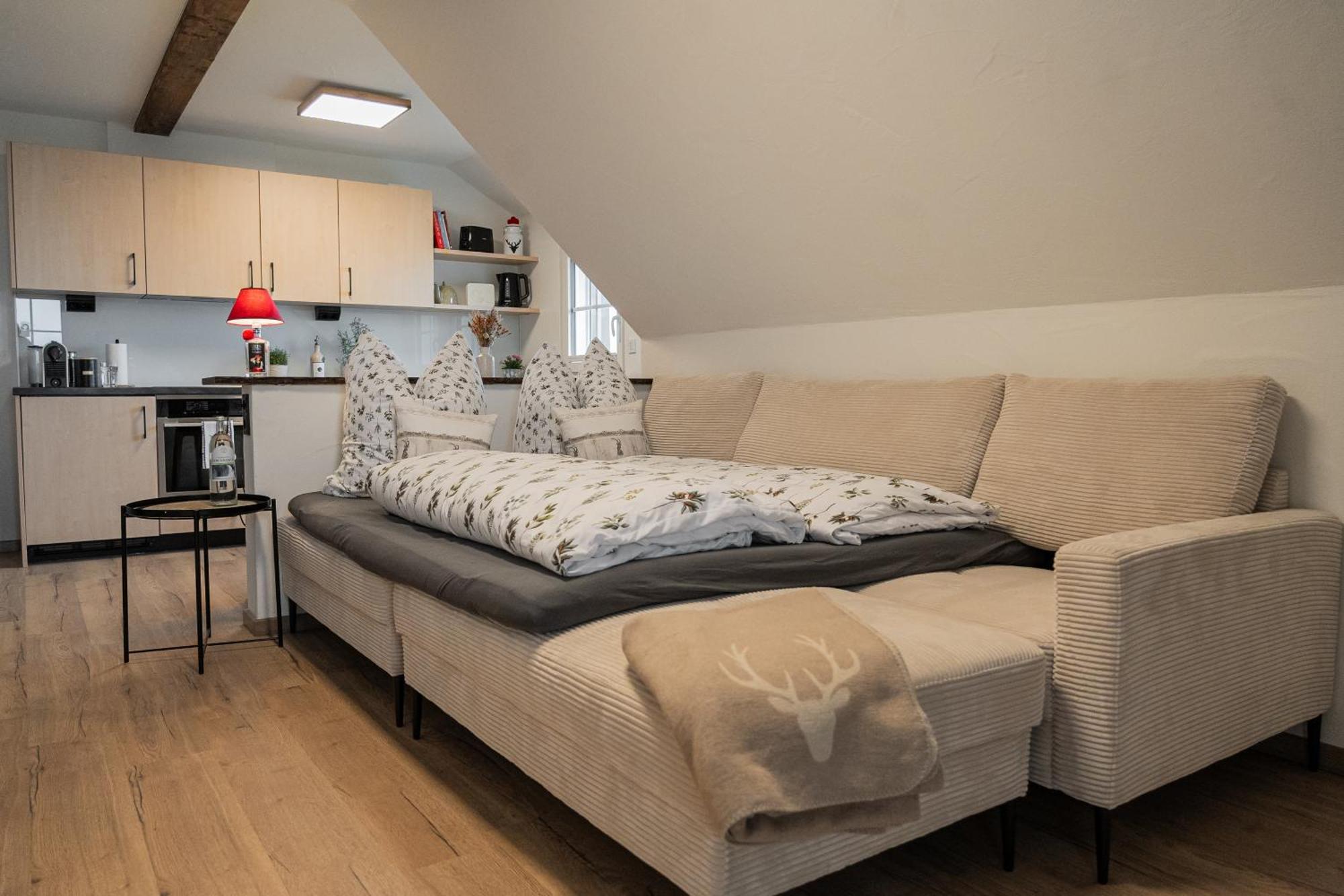 View House, Schauinsland, Black Forest ミュンスタータール 部屋 写真
