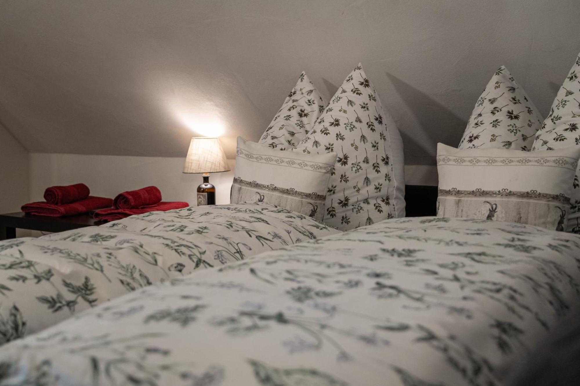 View House, Schauinsland, Black Forest ミュンスタータール エクステリア 写真